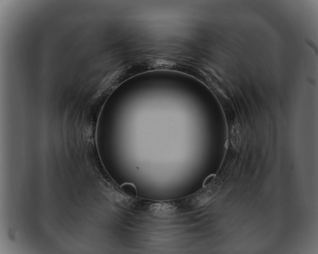X0000093110714200709261251