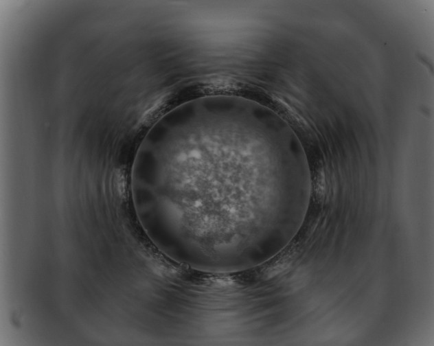 X0000093110715200709261251