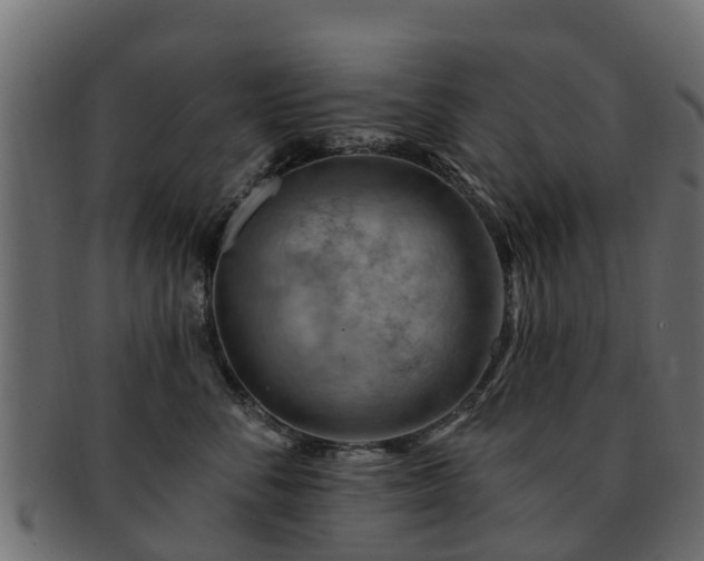 X0000093110716200709261251