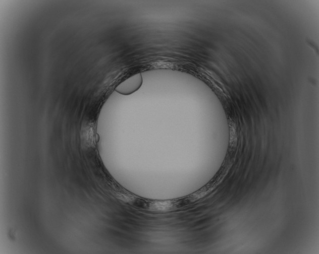 X0000093110717200709261251