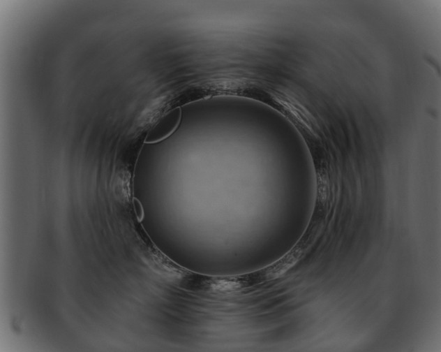X0000093110718200709261251