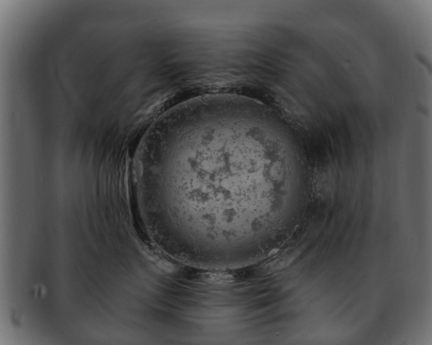 X0000093110719200709261251
