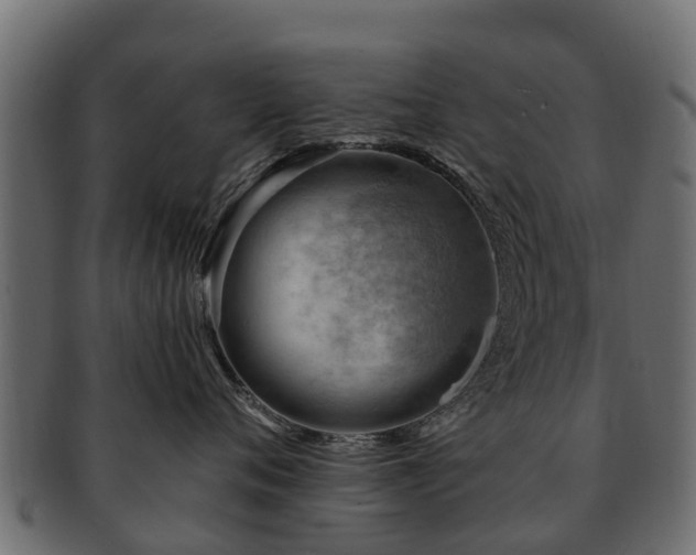 X0000093110720200709261251