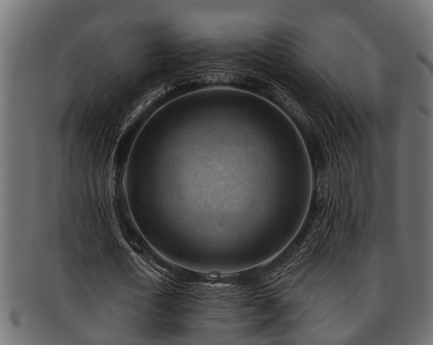 X0000093110722200709261250