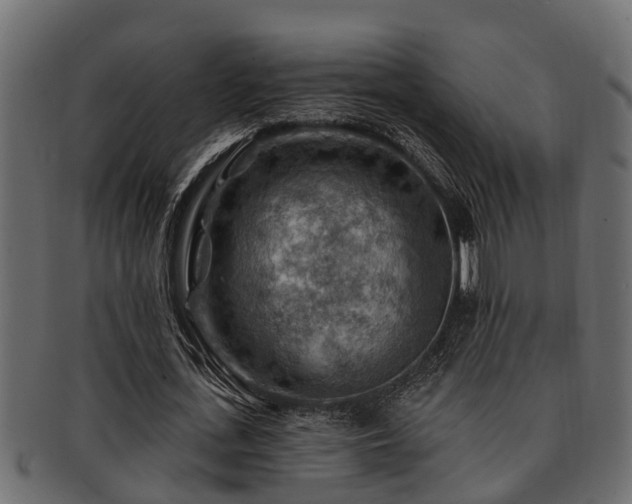 X0000093110723200709261250