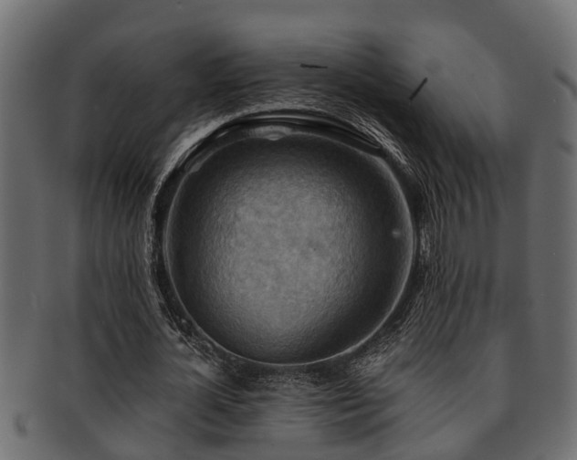 X0000093110724200709261250