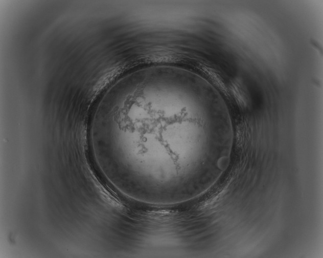X0000093110725200709261250