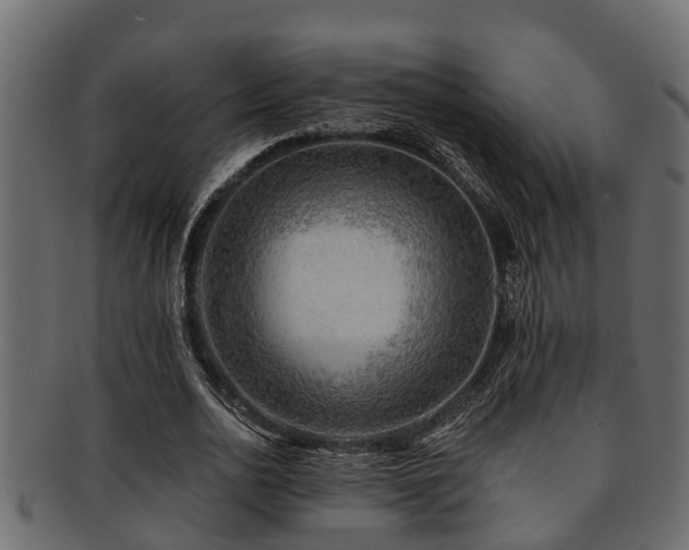 X0000093110726200709261250
