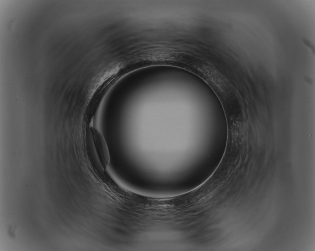 X0000093110727200709261250