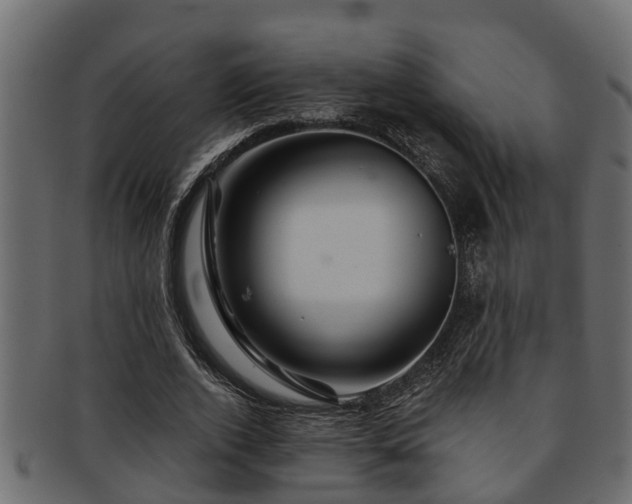 X0000093110728200709261250