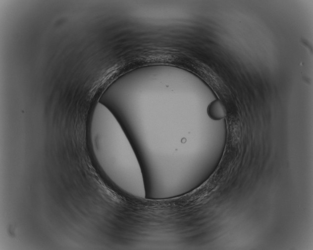 X0000093110729200709261250