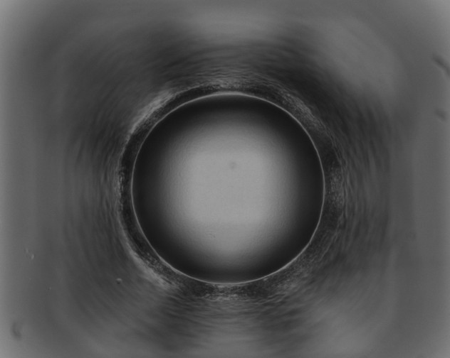 X0000093110730200709261250