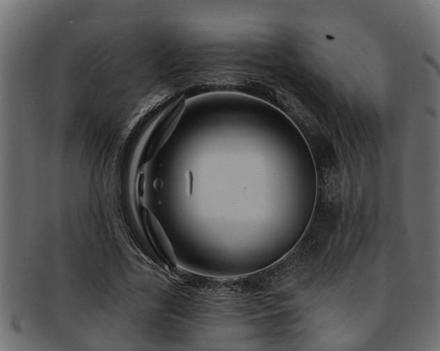 X0000093110731200709261250