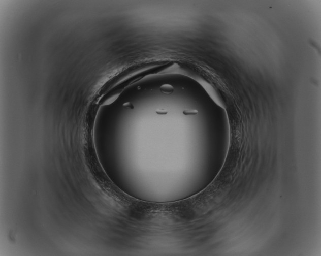 X0000093110732200709261250