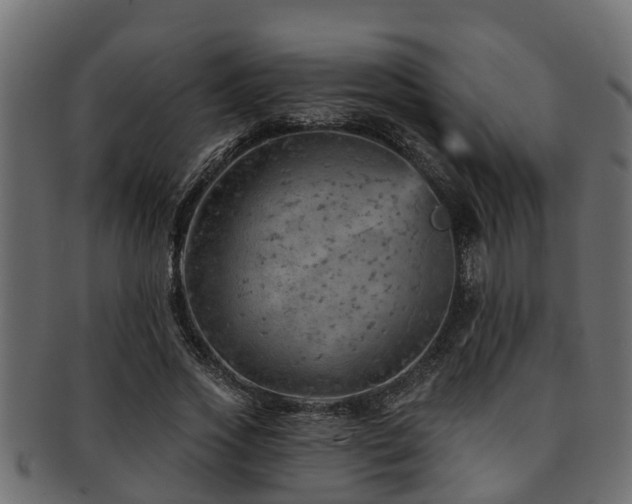 X0000093110733200709261250