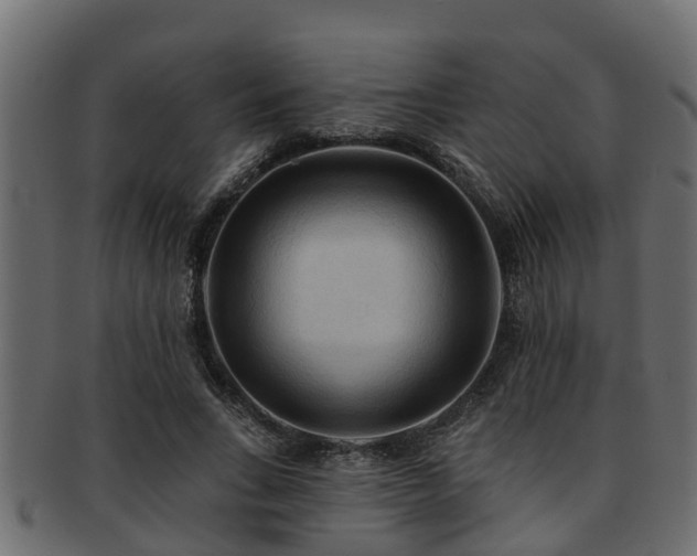 X0000093110735200709261250