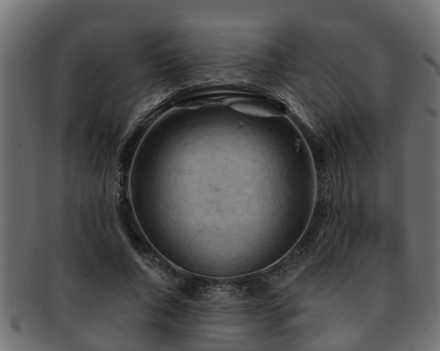 X0000093110736200709261250
