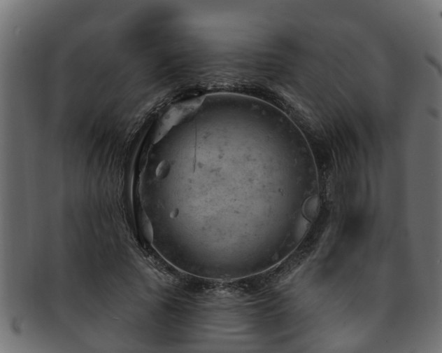 X0000093110737200709261250