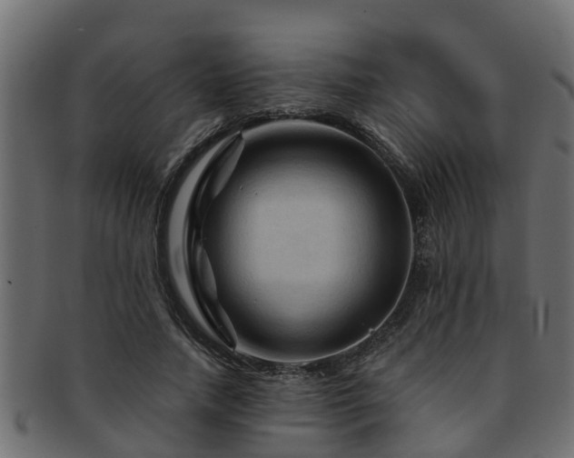 X0000093110738200709261250