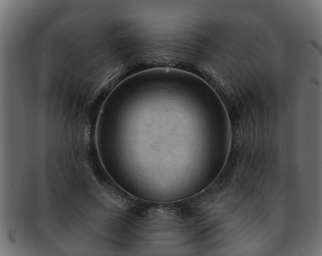 X0000093110739200709261250