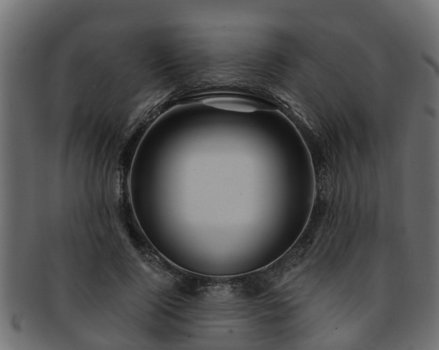 X0000093110740200709261250