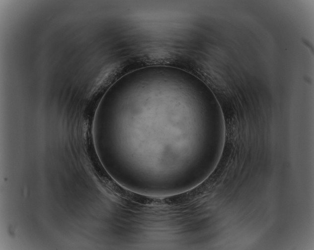 X0000093110742200709261250