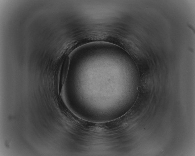 X0000093110743200709261250