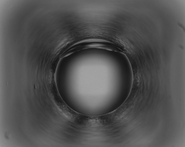 X0000093110744200709261250