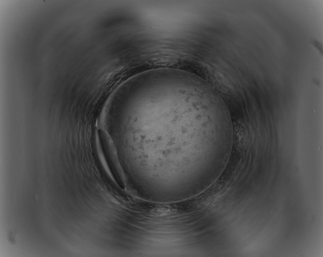 X0000093110745200709261250