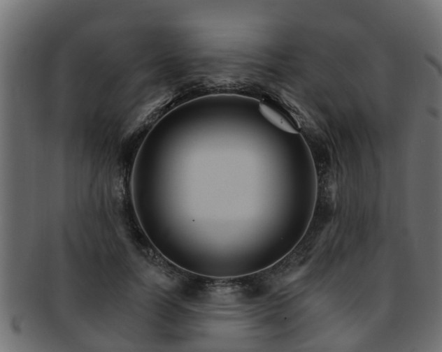 X0000093110746200709261250