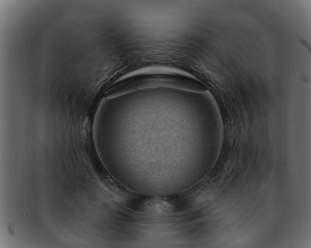 X0000093110747200709261250