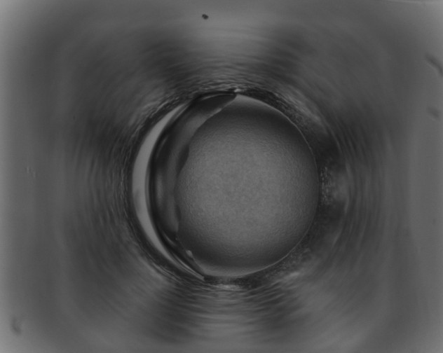 X0000093110748200709261250