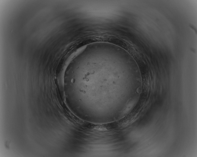 X0000093110749200709261250