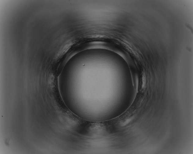 X0000093110750200709261250