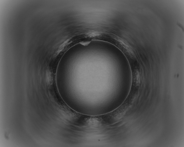 X0000093110751200709261250