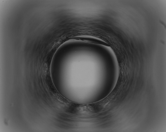 X0000093110752200709261250