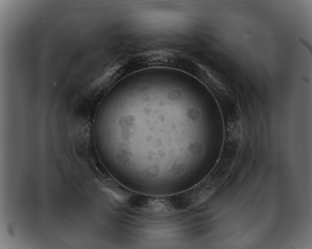 X0000093110753200709261250