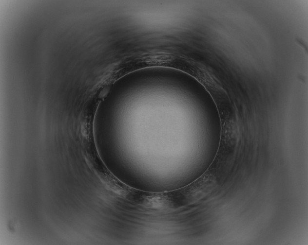 X0000093110755200709261250