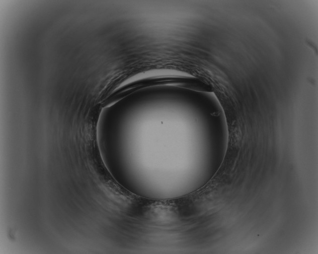 X0000093110756200709261250