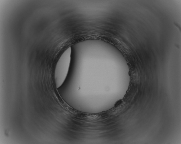 X0000093110757200709261250