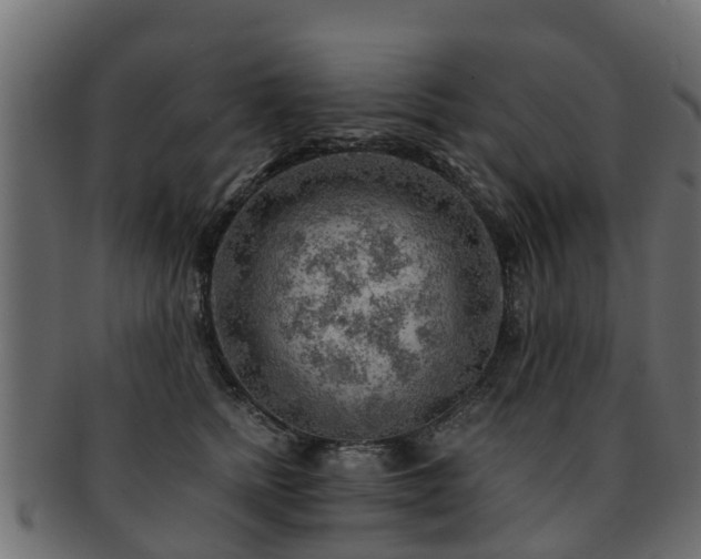 X0000093110758200709261250