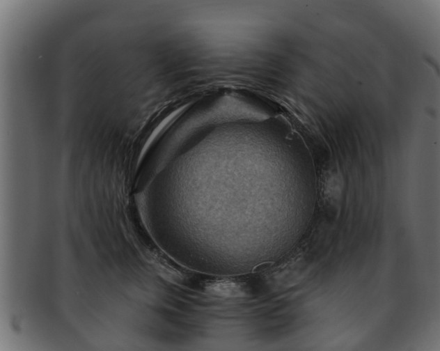 X0000093110759200709261250