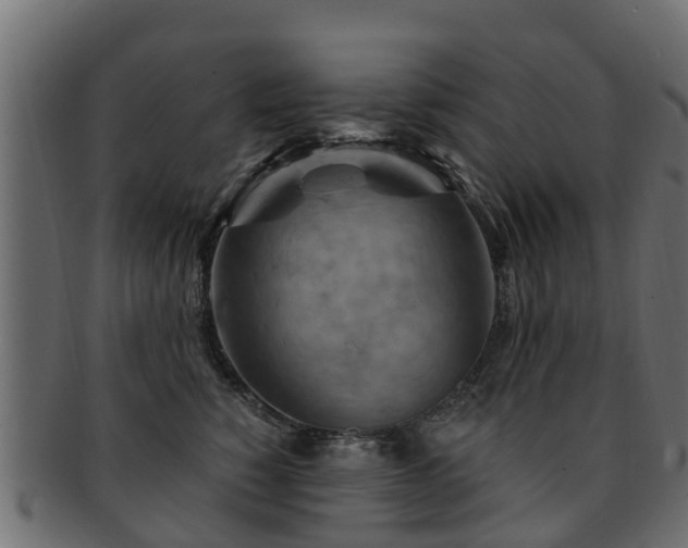 X0000093110760200709261250