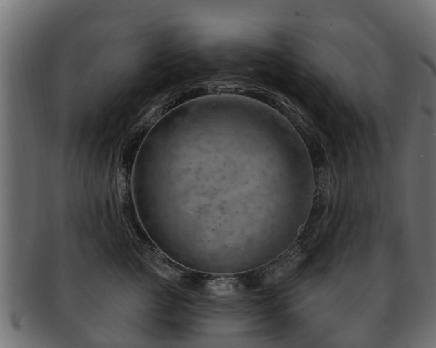 X0000093110761200709261250