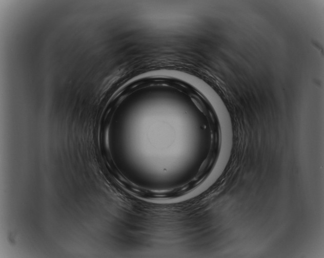 X0000093110762200709261250