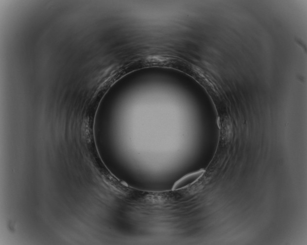 X0000093110764200709261250