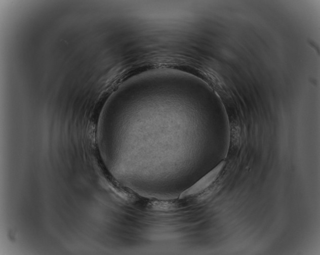 X0000093110766200709261250