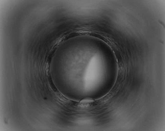 X0000093110767200709261250
