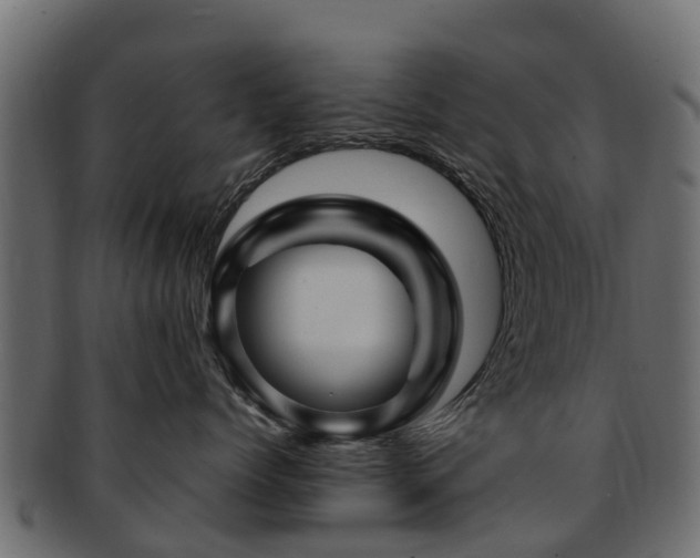 X0000093110768200709261250