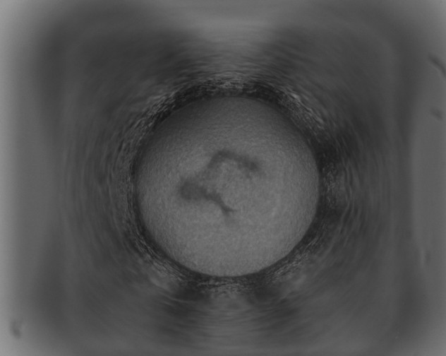X0000093110769200709261250